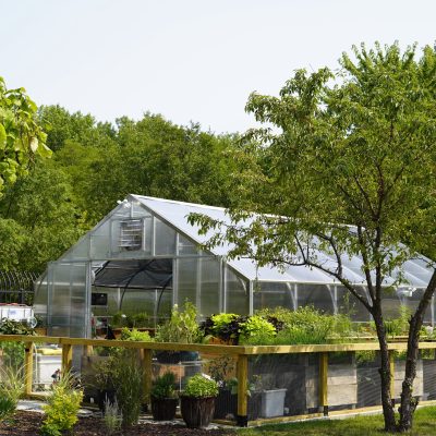 9.14.22_Greenhouse_2