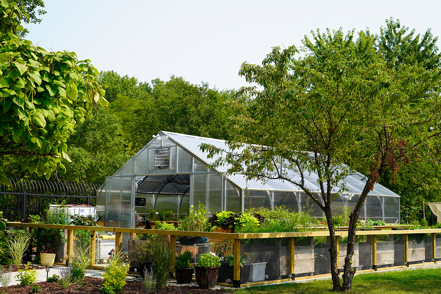 Edens Garden's Commitment To Sustainability
